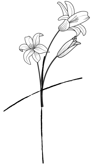 House of Lilies